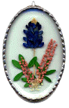 Click on the picture to see a full size image