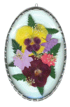 Click on the picture to see a full size image