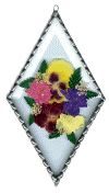 Click on the picture to see a full size image