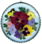 Click on the picture to see a full size image