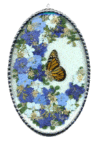 Click on the picture to see a full size image