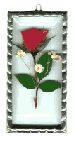 Click on the picture to see a full size image