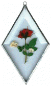Click on the picture to see a full size image
